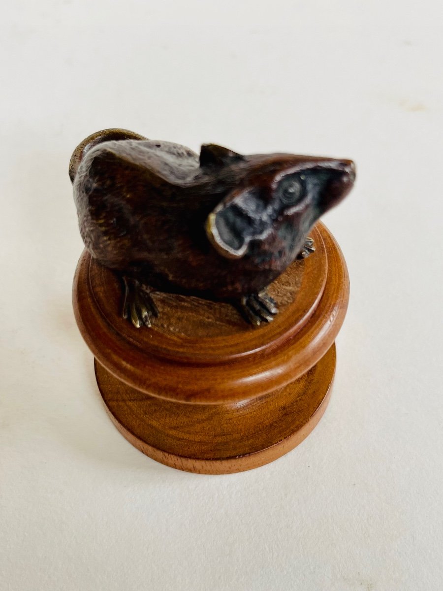 Souris Bronze De Vienne -photo-3